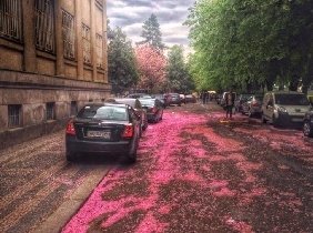 Невижимость в Невижимость в Ужгороде
